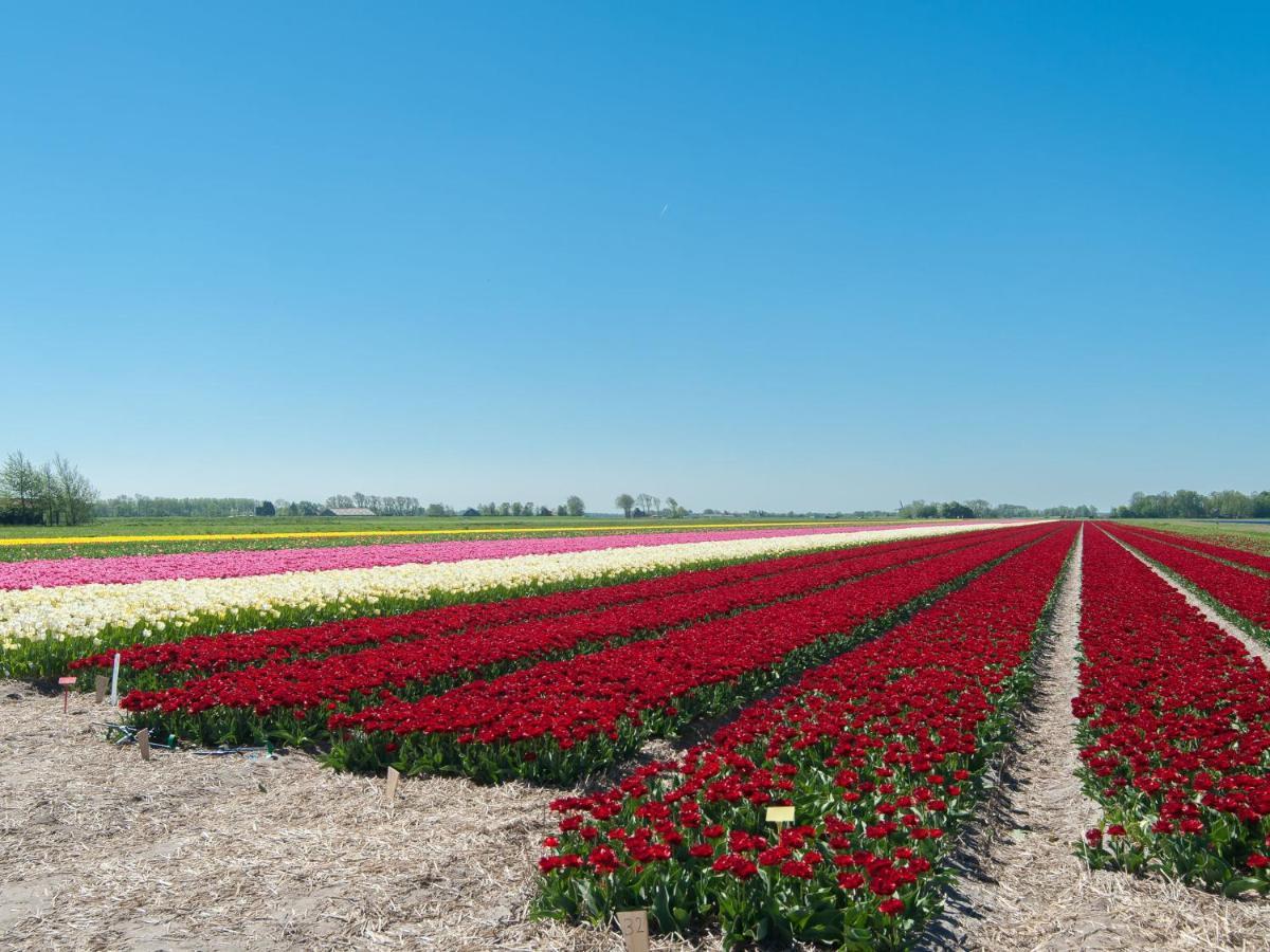 Attractive Countryside Holiday Home In Quiet سكورل المظهر الخارجي الصورة